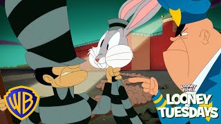 Looney Tunes en Latino | Escape de la prisión | WB Kids