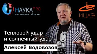 Алексей Водовозов - Тепловой удар и солнечный удар