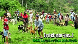 Cara porbi sumbar berburu babi hutan yang buat penonton gagal paham