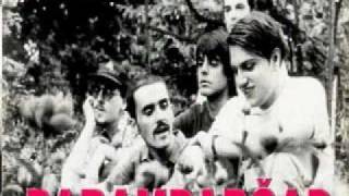 Darkwood Dub-Ptice