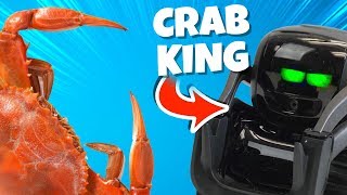 Wild Robot is the New Crab King