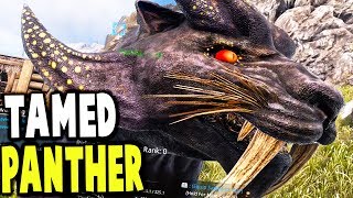 Dark and Light - TAMED PANTHER, VOLCANO ISLAND EXPLORING - (5) Dark and Light Gameplay