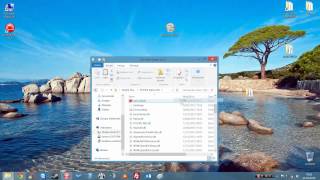 Installation DELPHI DS150E version 2013.3