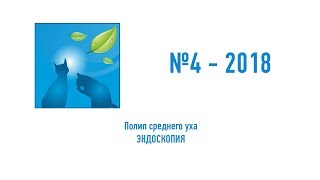 №4-2018. Эндоскопия.  Полип среднего уха