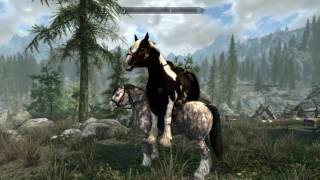 Horse Porn