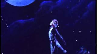 Валентина Рубцова  cats memory