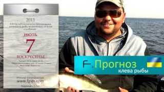 F.Прогноз клева рыбы на 07.07.2013 (Украина)