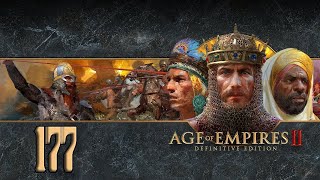 Прохождение Age of Empires II Definitive Edition Серия 177 "Священные воды"