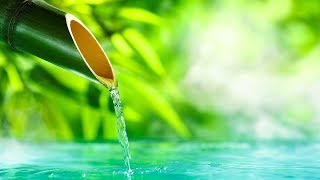 Relaxing Music 24/7, Meditation, Healing, Sleep Music, Zen, Calm Music, Sleep, Yoga, Study, Relax
