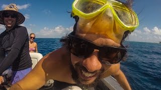 Scuba Diving With Sharks And Mantas Remote Cocos Keeling!- Sailing SV Delos Ep. 81