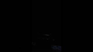 Red Fox outside screaming mating for a dang hour!