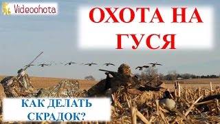 Охота на гуся! Cкрадок ★ЛУЧШЕ НЕ БЫВАЕТ★Videoohota
