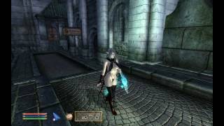TES4 OBlivion: Sexy High Resolution Wood Elf with Radiant Sword Set