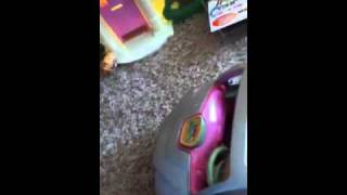 Littlest pet shop moving day