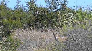 Rancho El Fortin