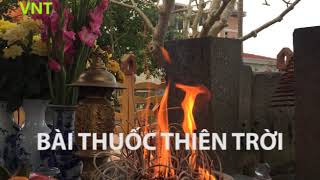 VNT. Nhận thông tin  Bài thuốc Thiên Trời