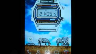Montana watch