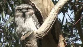 EcoCentre Documentary