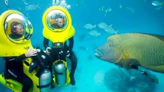 Самые большие океанариумы мира ТОП 10 Аквариум Подводный мир AquaDom Oceanario L’Aquarium