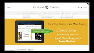 Shopify Review Features and Overview