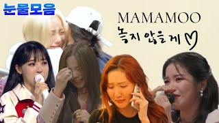 [마마무] 눈물모음 영상 슬픔 오열이슈ㅠ Don't Cry.. MAMAMOO????