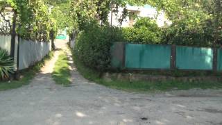 Гагра  ул Кабардинская HDV_0962