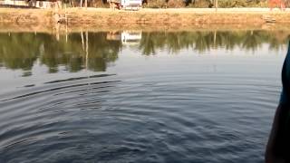 Mancing siakap guna pelampong