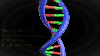 New functionalities for cells – EMBL Micronews