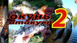 Ловля окуня на воблеры. Он спасает от нуля!!!