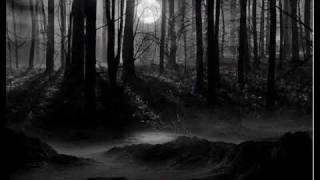 The Drunken Ma - Dvama Ot Mraka ( Ft. Dark Step )