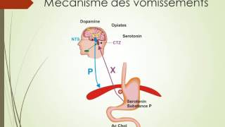 sémiologie digestive 2 partie 2