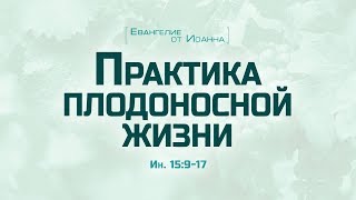 Ев. от Иоанна: 85. Практика плодоносной жизни (Алексей Коломийцев)
