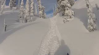 First ride on 2019 Alpha cat