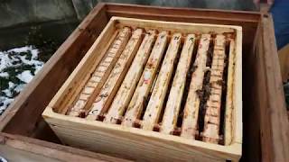УЛЕЙ "ВЕЛИКОРУСЬКИЙ"™ Часть 12. Секрет успешной зимовки пчел. The secret of a good wintering of bees