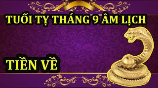 TỬ VI TUỔI TỴ THÁNG 9 ÂM LỊCH, BÙNG NỔ TÀI LỘC TIỀN VỀ XÓA NỢ, ĐỔI ĐỜI GIÀU SANG NỨT ĐỐ ĐỔ VÁCH
