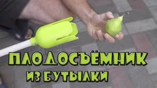 Плодосъемник для яблок и груш из пластиковой бутылки своими руками