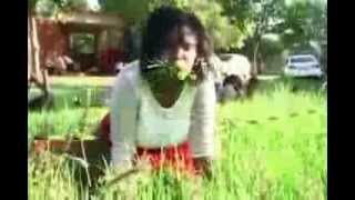 Pasteur sud Africain qui hypnotise ses fideles