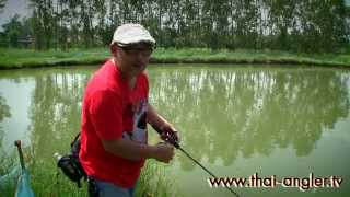 Angler Trip : ตกปลาช่อนด้วย Texas กันอีกสักที