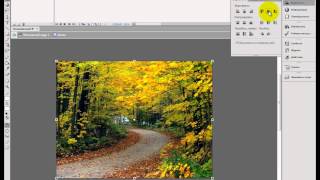 Анимация дождя в Adobe Flash