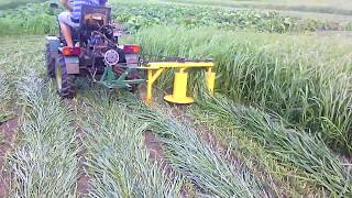 Homemade rotary mower in action 2