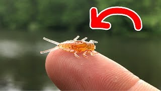 ULTRA Realistic TINY Lure!!! - SMALLEST Yet!