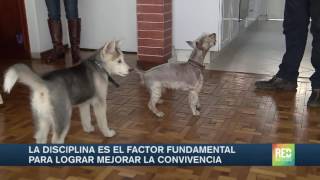La diferencia de edad puede causar problemas de convivencia