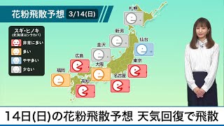 3月14日(日)の花粉飛散予想　天気回復で飛散