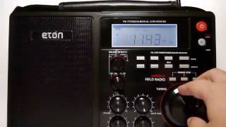 Eton S450DLX - СВ (MW)