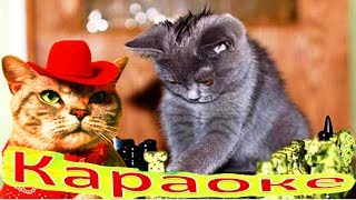 КОШКИ ЭТО КОШКИ и Другие ВЕСЕЛЫЕ Песенки КАРАОКЕ для ДЕТЕЙ