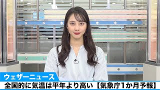 桜の開花進む。全国的に気温は平年より高い(気象庁1か月予報)