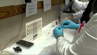 Laboratorio de diagnóstico clínico. IES María de Molina