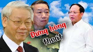 Thủ đoạn tẩu tán tài sản tinh vi của Tất Thành Cang, BCA lập tức vào cuộc tịch thu toàn bộ