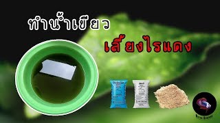 วิธีทำน้ำเขียวเลี้ยงไรแดง