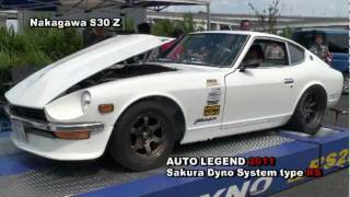 AUTO LEGEND2011 Power Check SDS